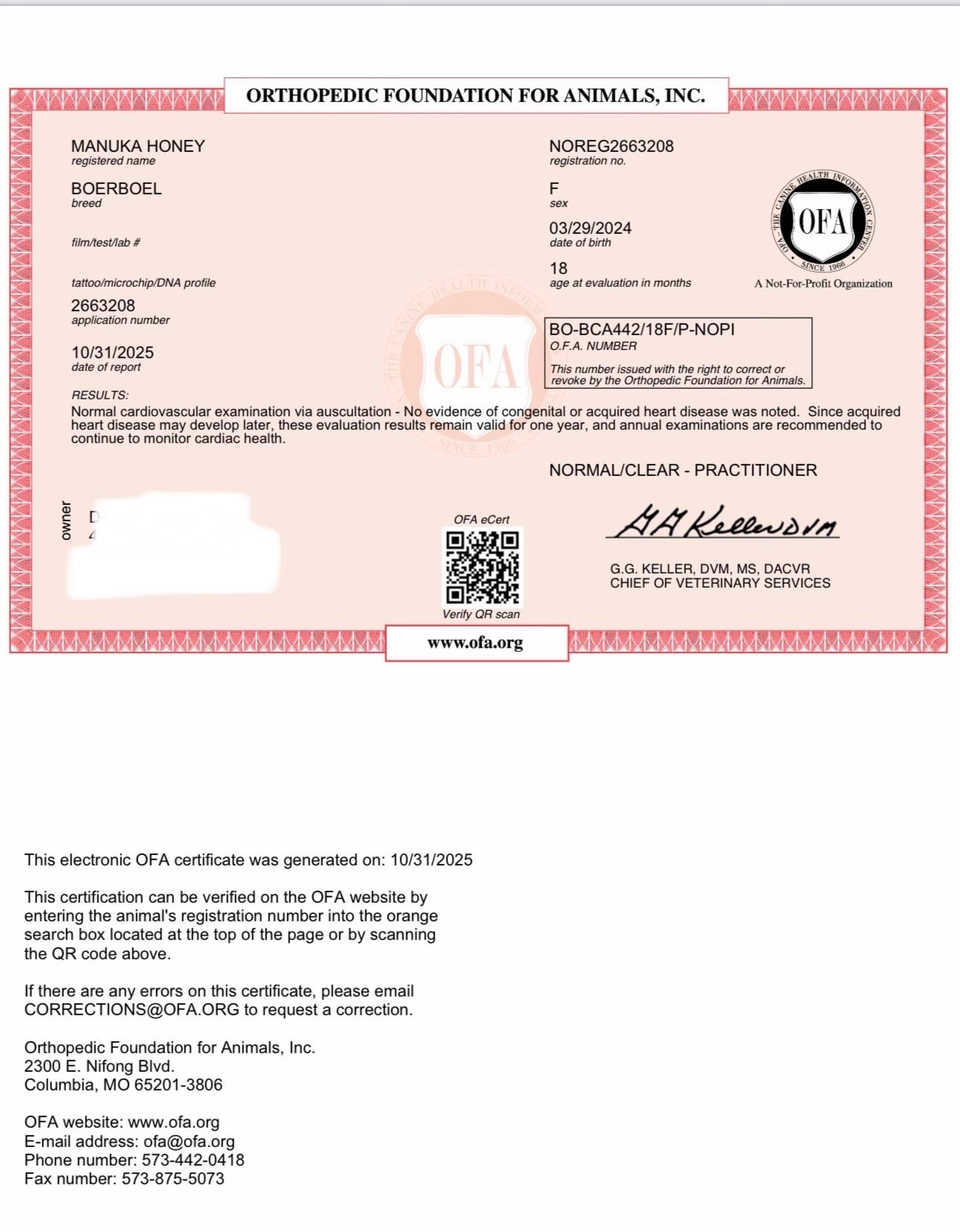 OFA certificate showing Manuka Honey passed a cardiovascular exam with a normal, clear result