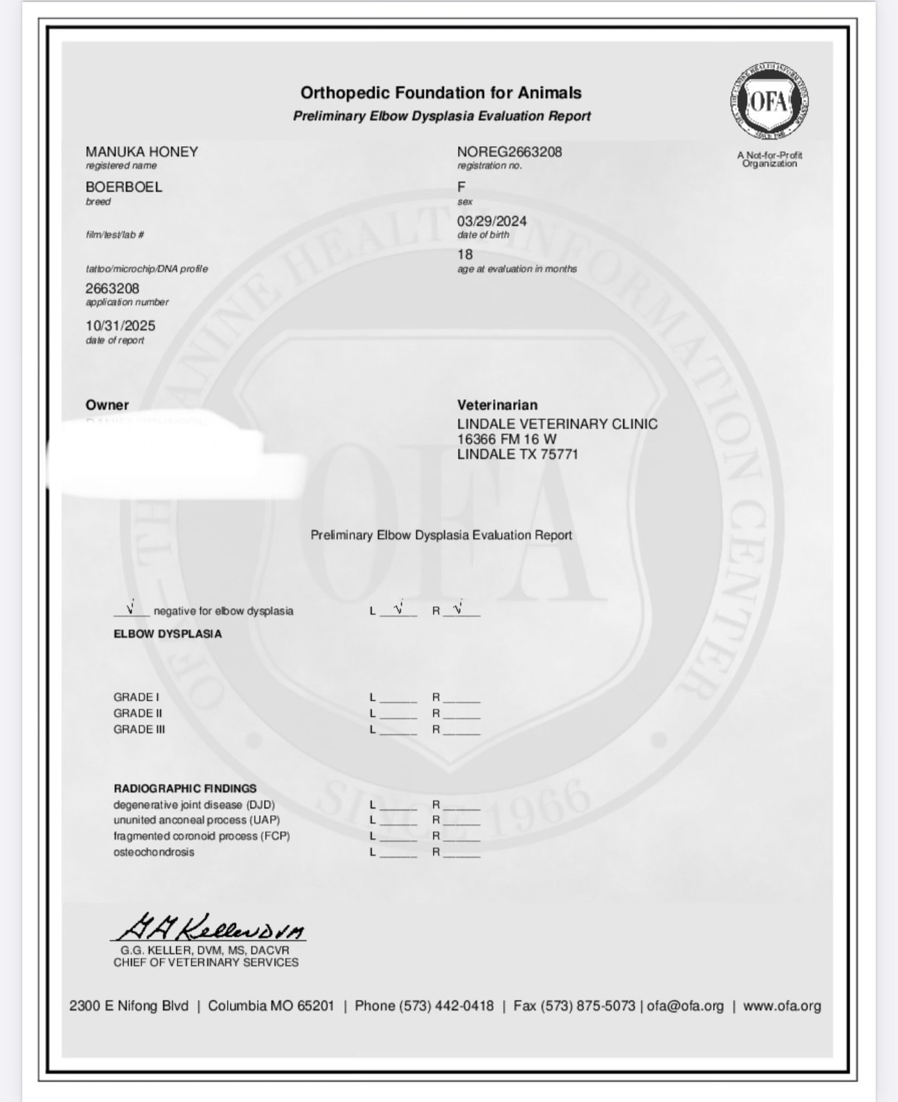 OFA preliminary elbow dysplasia evaluation report for Manuka Honey showing negative results for elbow dysplasia