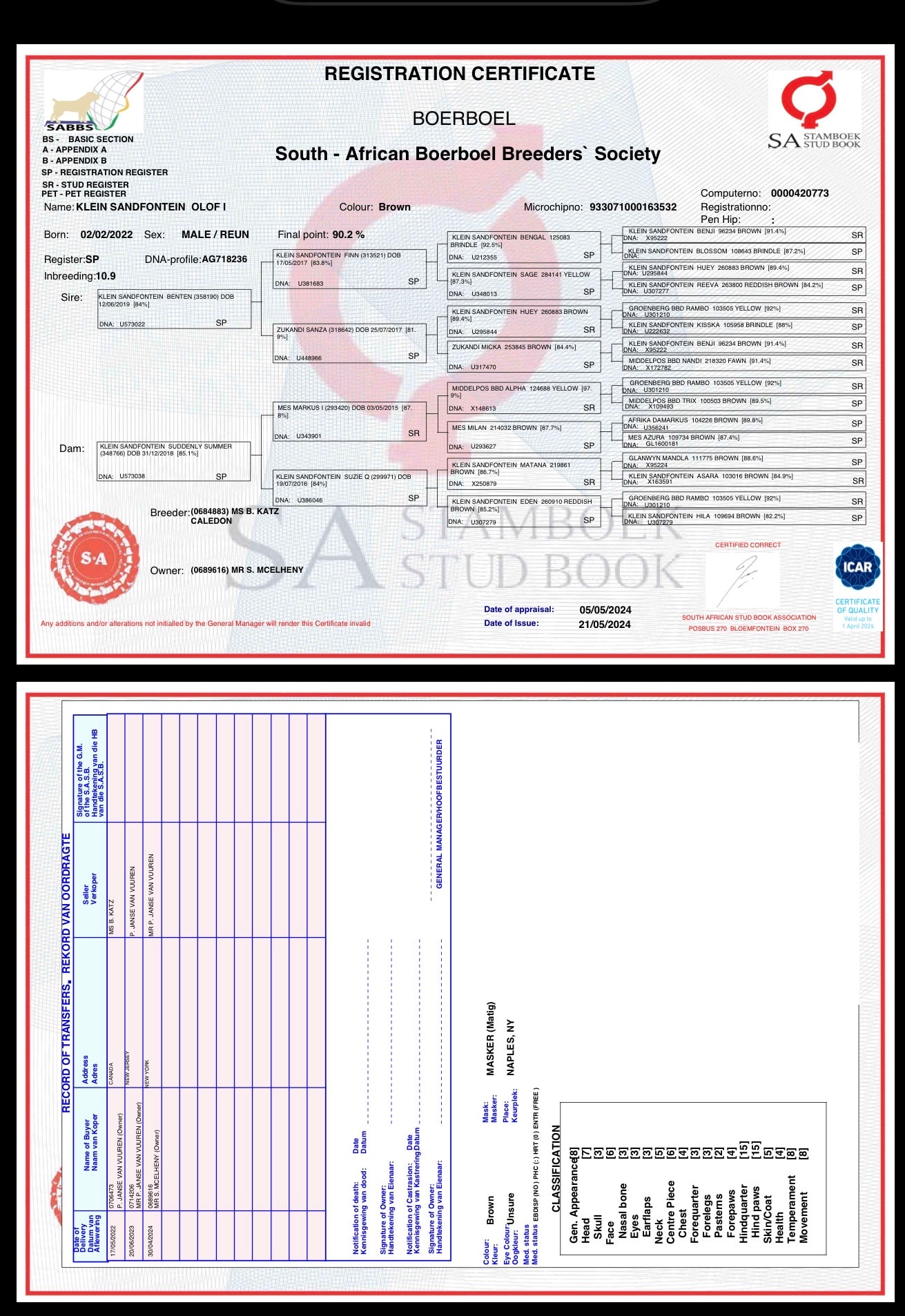 SABBS registration certificate for Klein Sandfontein Olof I showing his pedigree tree, DNA profile, 90.2 percent final appraisal score, breeder, and ownership record at SA Stud Book